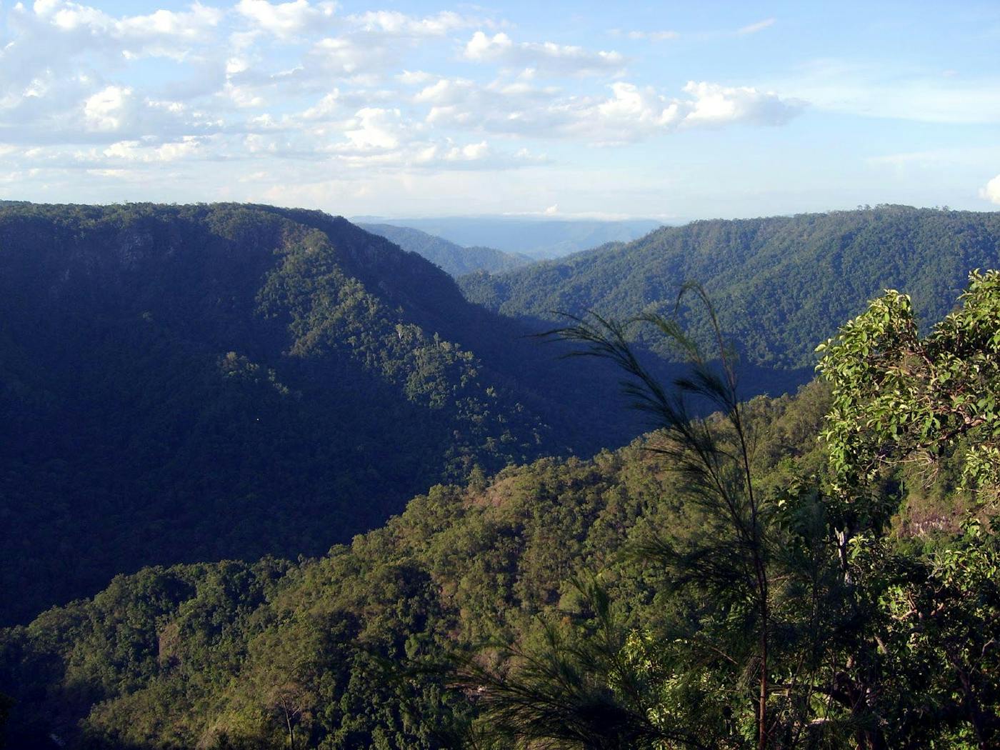 Queensland Tropical Rainforests & Savannas (AU9)